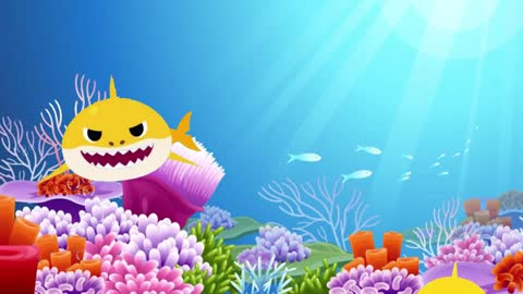 Baby Shark Baby Shark the best song for kids NİLOYA em BABY SHARK