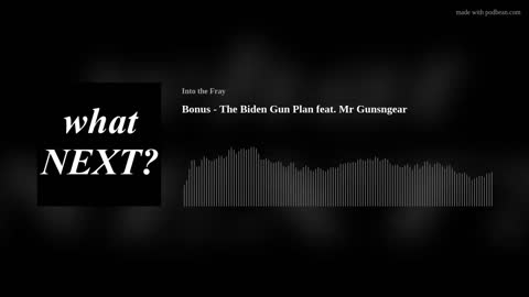 The Biden Gun Plan feat. Mr. Gunsngear - Into the Fray Podcast