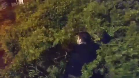 Two guys black shirts jumping into bush drunk