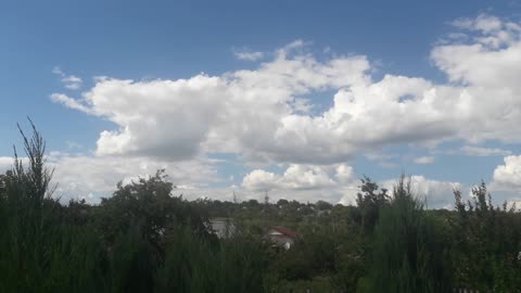 Summer landscape