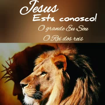 A Onça Bebeu Água demais e Dormiu! Nossa Esperança Habita no Leão!