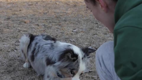 Look at this dogs eyes though! ❤️