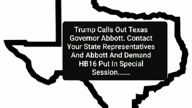 Trump Calls Out Texas Governor Abbott Over Election Audit