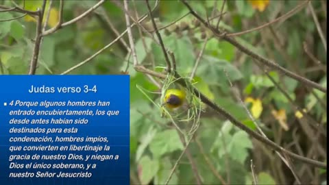 Hombres impios _ Devocional