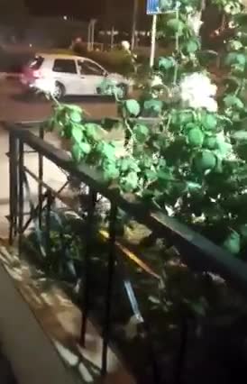 Συγχαρητήρια στην Γιαγιά ΕΛΛΗΝΙΔΑ