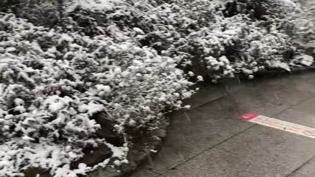 Snowing footage