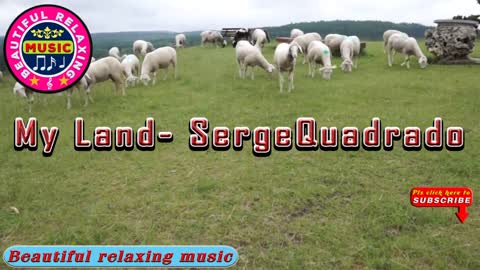 Relaxing Music | Sleeping, Meditation, Stress Relief | [1482] ⭐️