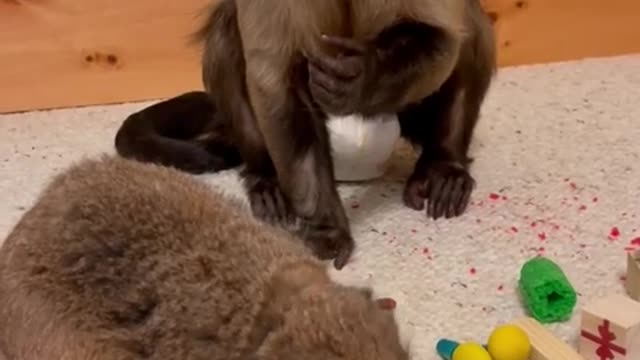 Merry Christmas From ole girl Trudy!!!