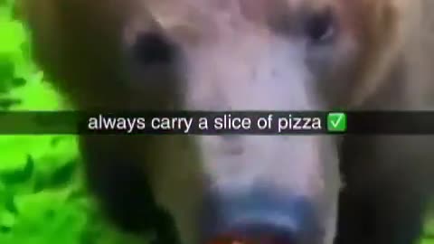 Advice: Always Carry A Slice Of Pizza