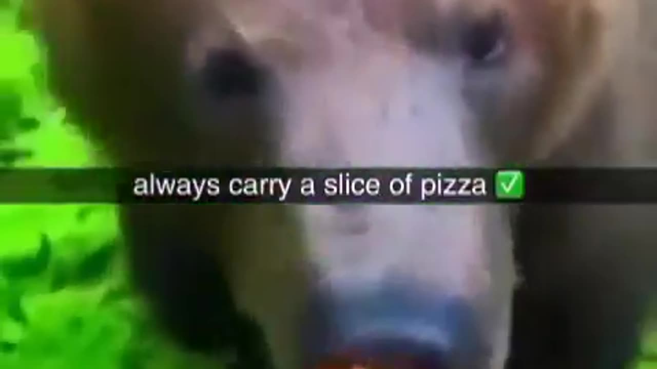Advice: Always Carry A Slice Of Pizza