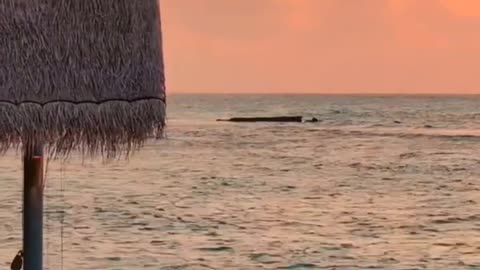 Vakkaru Maldives