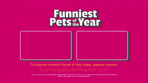 Funniest pet videos.