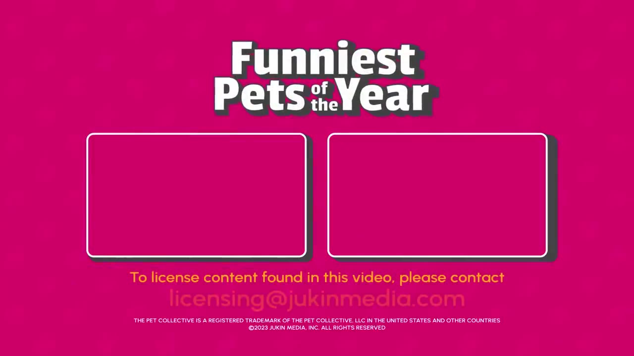 Funniest pet videos.