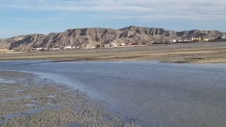 Cholla Bay