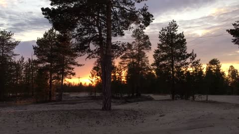 in the north of Russia in the forest