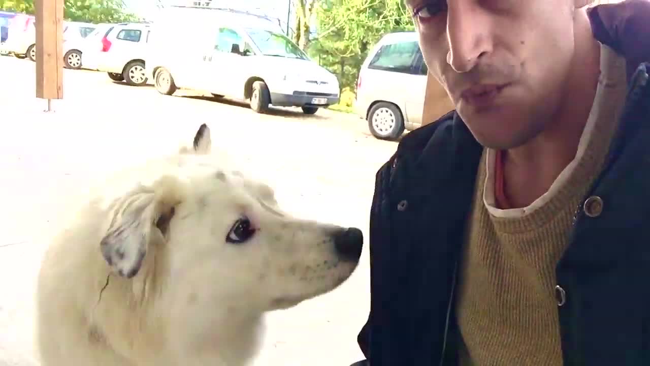 Il imite le chiens qui pleure, c'est vraiment cool.