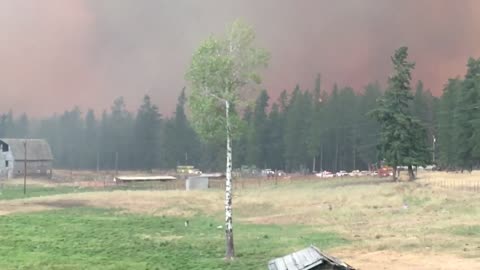 Northwest Montana Fire