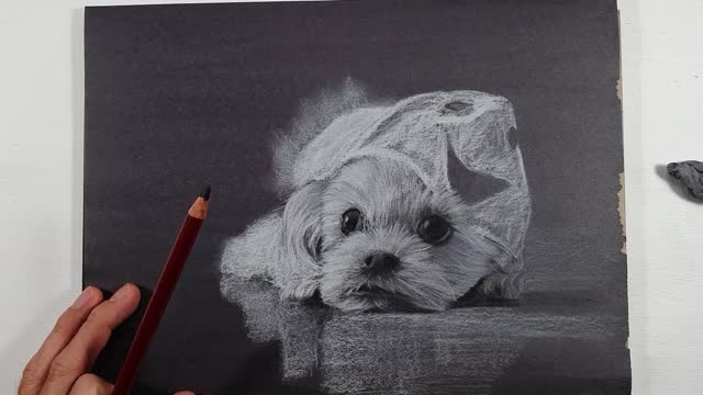 Art || Sketch || A Lovely Puppy (VI)