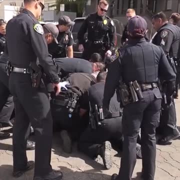 It takes 10 cops to take down one guy.