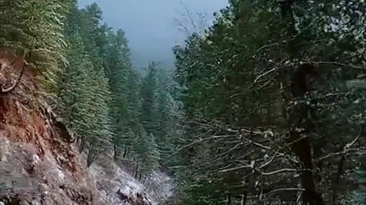 Snowfall Road of Nathia Gali Murree