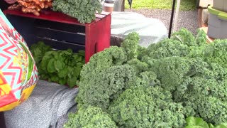 REAL FOOD REVOLUTION ~ FARMERS MARKET - Mar 19th 2016