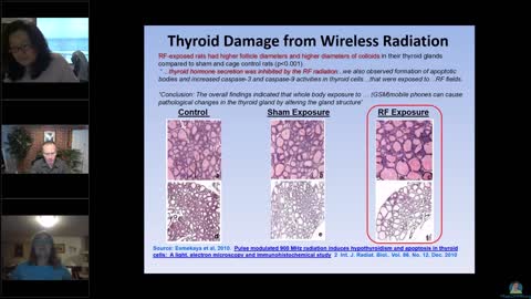 8/8/22 MOMN Meeting - How to Protect Yourself From the Dangers of EMF Exposure