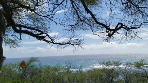 Relaxing Weekend Picnic at Beach Park