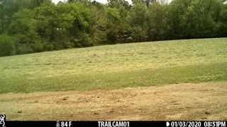 Getting ready to bale the wheat.