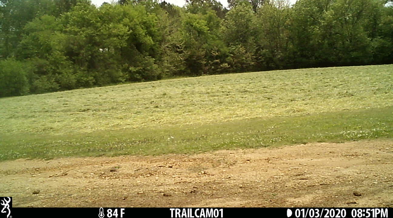 Getting ready to bale the wheat.