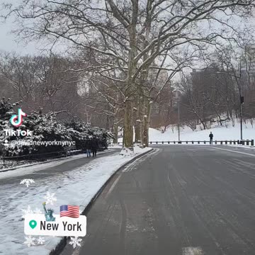 New York City Manhattan America USA Central Park