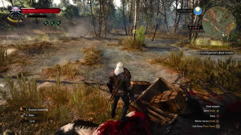 the witcher 3 wild hunt kiling the Griffin 4