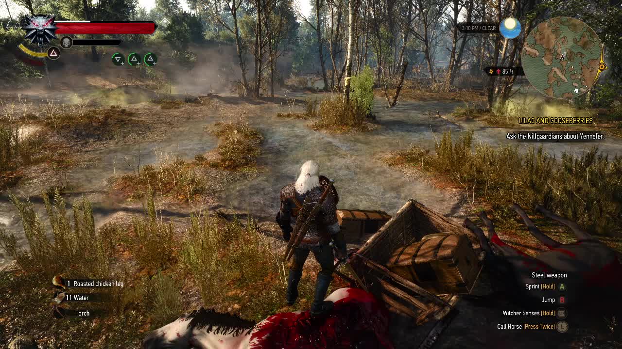 the witcher 3 wild hunt kiling the Griffin 4