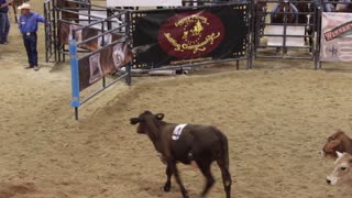 Let it ride , ranch sorting championship.