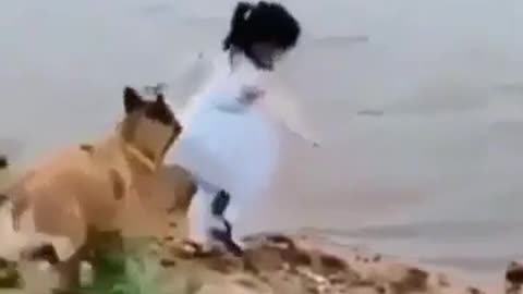 Dog Save the girl like a hero