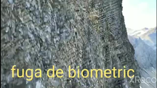 Fuga de biometric - VASILE