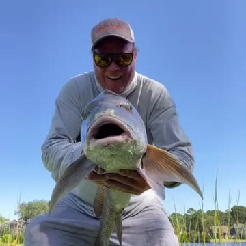 🖤black & ❤️red