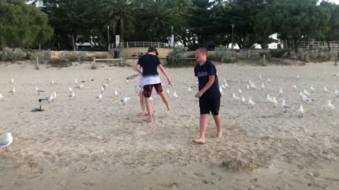 Bringing French fries to Aussie beaches 😂😂