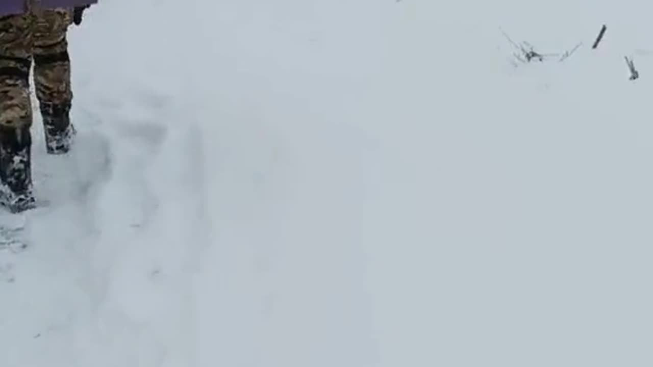 Ukrainian Soldiers Brave the Snowy Frontlines