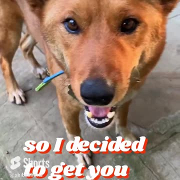 he is now ready for the biz