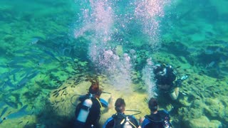 Divers meeting on the seabed and surrounded by hundreds of fish