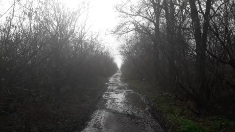 Autumn rural road