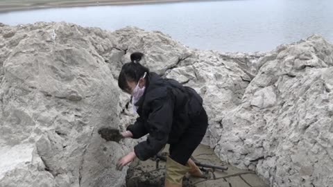 River mussels, pearl mussels dug from the reservoir! Harvest dozens of colored pearls