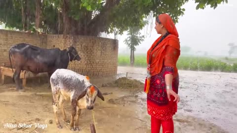 Punjabi Kudi Ka Bhaari Baarish Mei Desi Dance