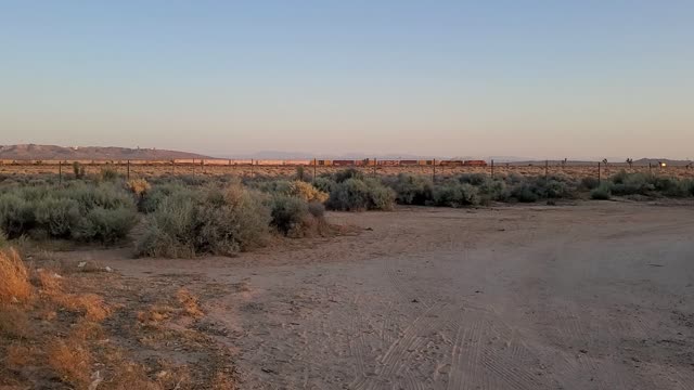 Freight Train and random Dog in distance