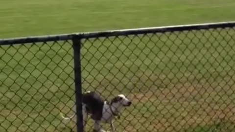 Funny Tiktok pt2