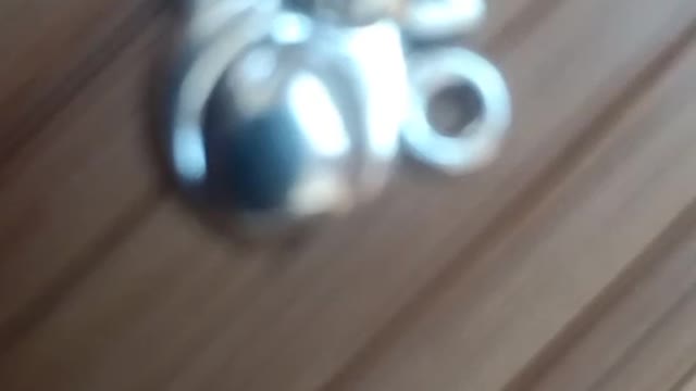 is this a little mouse