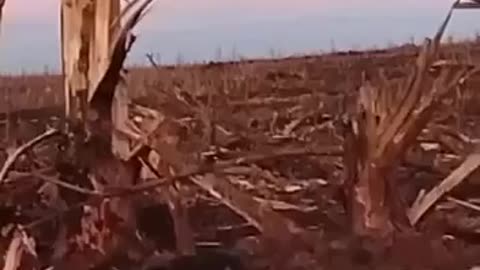 Video from Russian Trenches