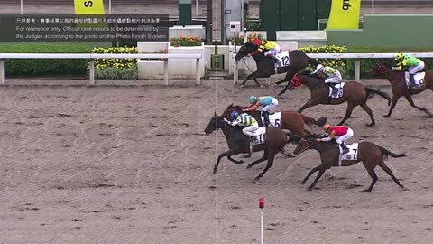 Horce_Race_2022051505_English