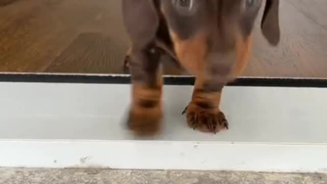 Fluffy taste