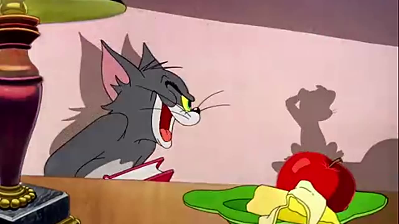 Tom and Jerry - The invisible mouse